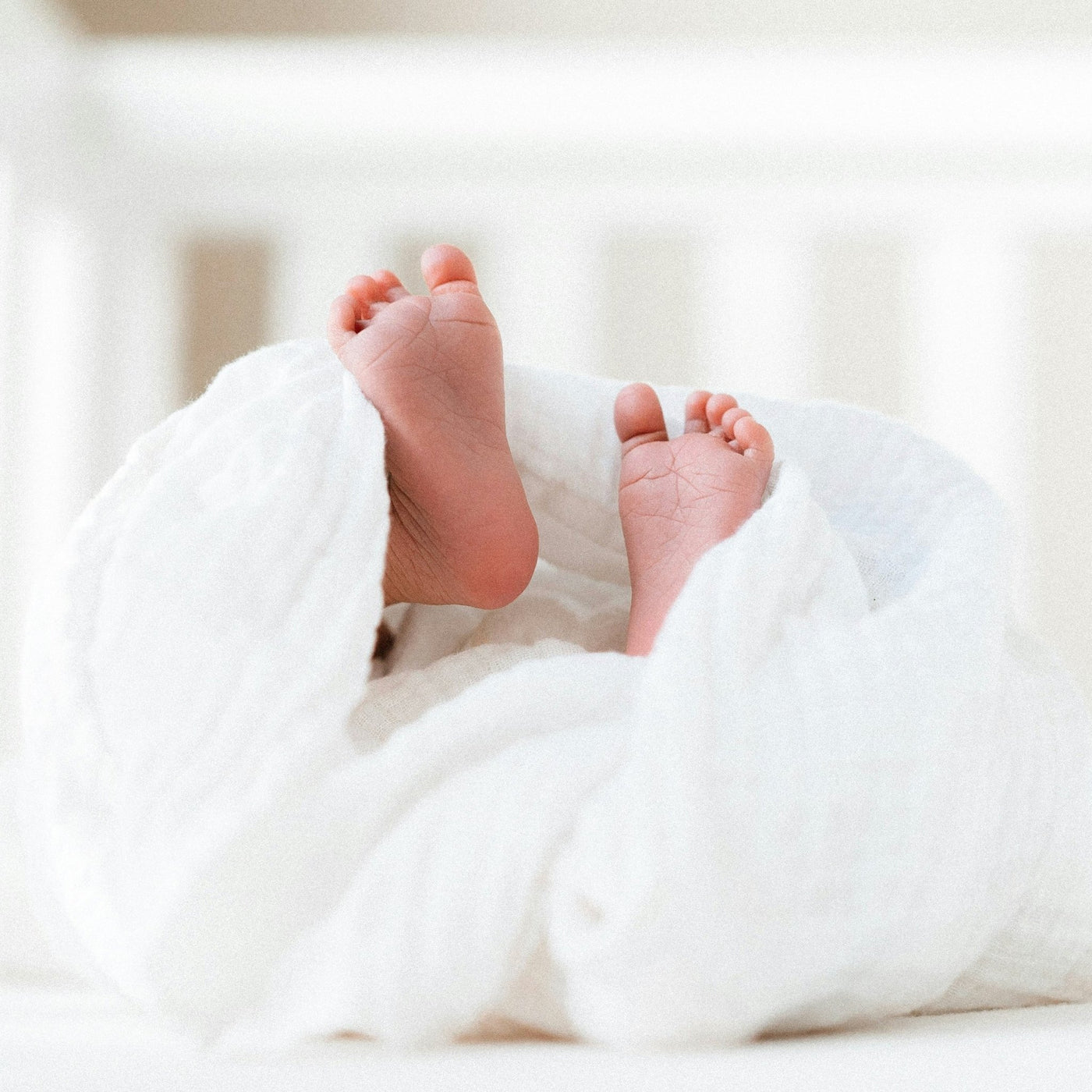 NOVA SCOTIA FISHERMAN SKIN CARE BABY BALM LARGE (SENSITIVE SAFE) - Twistshakeshop